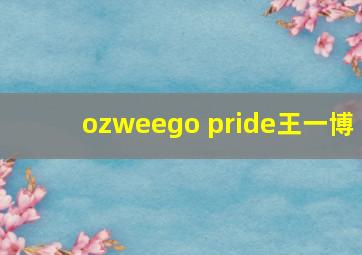 ozweego pride王一博